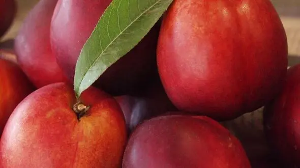 برای تقویت بینایی شلیل بخورید