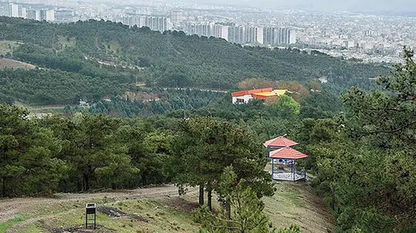 اقدام جدید شهرداری تهران برای تغییر کاربری بوستان ها: ساخت هتل ۲۵ طبقه در پارک جنگلی لویزان !