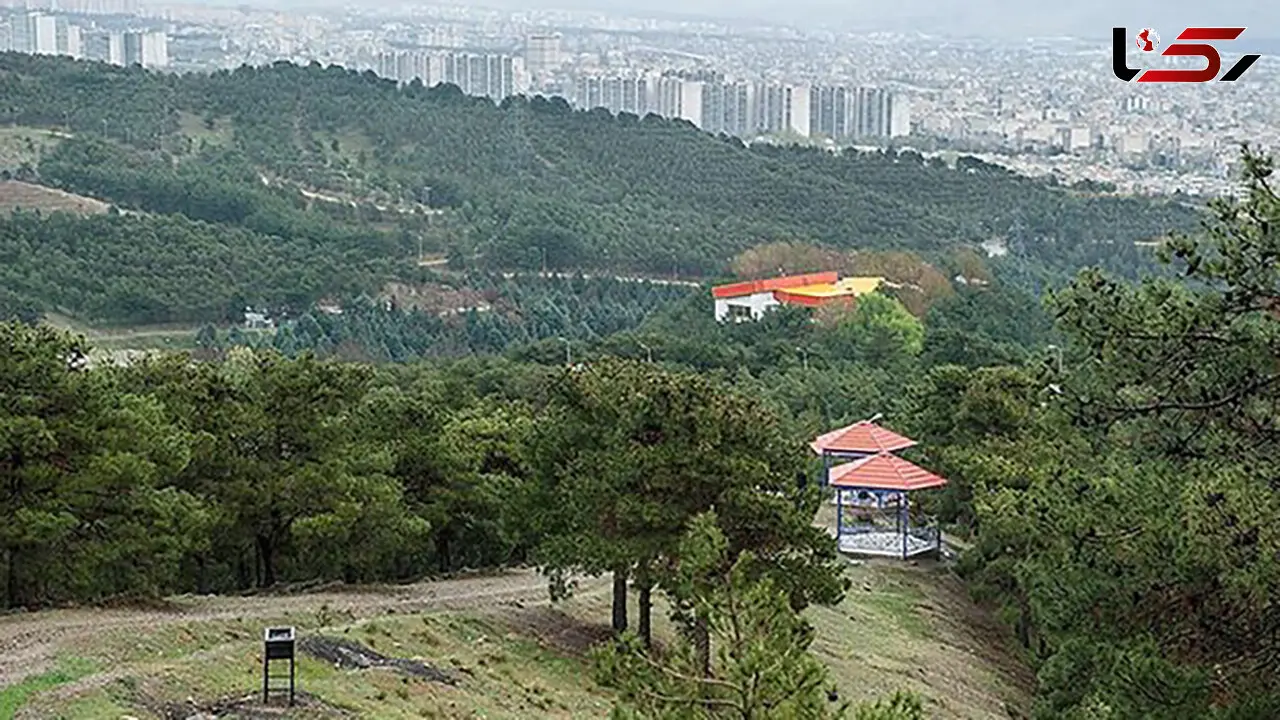اقدام جدید شهرداری تهران برای تغییر کاربری بوستان ها: ساخت هتل ۲۵ طبقه در پارک جنگلی لویزان !
