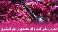 20 اردیبهشت روز گلاب و گل محمدی / همه چیز درباره جشن گلاب‌ گیری + سوالات متداول
