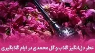 20 اردیبهشت روز گلاب و گل محمدی / همه چیز درباره جشن گلاب‌ گیری + سوالات متداول