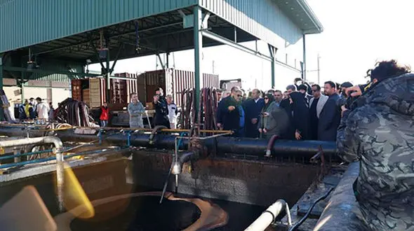  هشدار محیط‌زیست: تهران دیگر جا ندارد