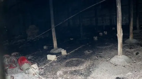 آتش سوزی یک مرغداری در شیروان