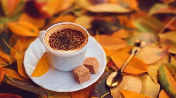 قهوه مغزتان را از آسیب نجات می دهد