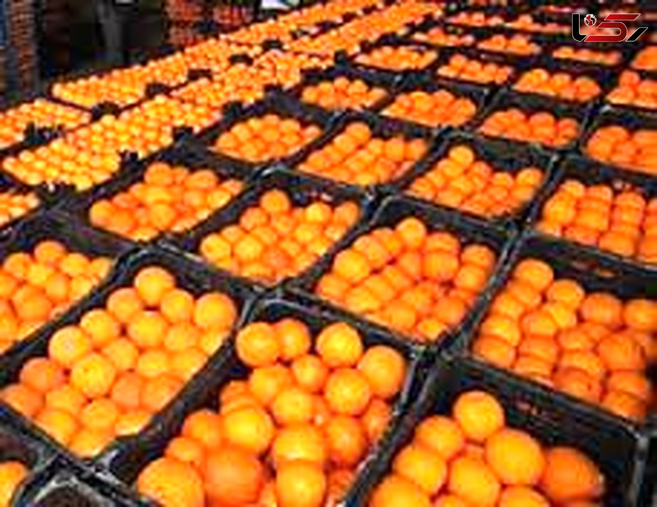 کشف سیب و پرتقال جاسازی شده قاچاق