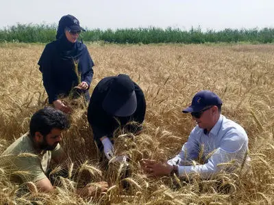 روز جهانی کشاورز؛ روزی برای پاسداشت قهرمانان بی‌ ادعای تولید غذا
