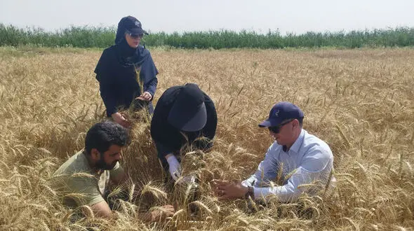 روز جهانی کشاورز؛ روزی برای پاسداشت قهرمانان بی‌ ادعای تولید غذا