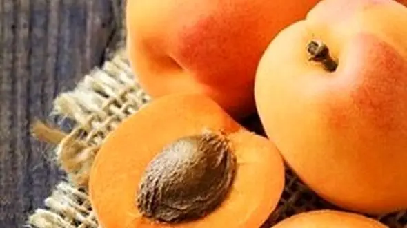 ماجرای قمقمه و هسته میموه در بدن 2 کودک بوشهری