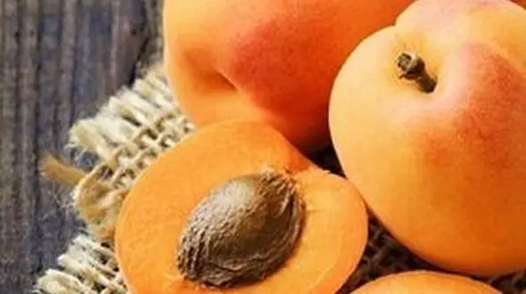 ماجرای قمقمه و هسته میموه در بدن 2 کودک بوشهری
