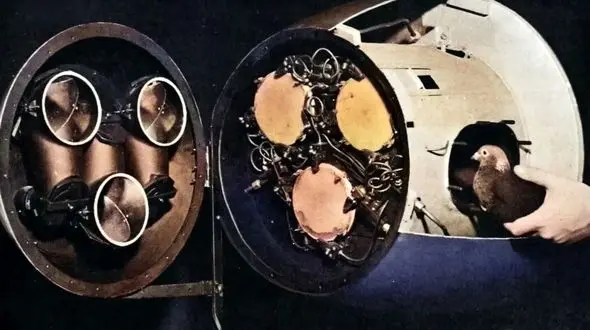 عجیب‌ترین موشک دنیا؛ اثر خارق‌العاده یک روانشناس