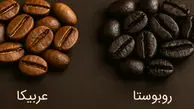نکات کلیدی در تفاوت قهوه عربیکا و روبوستا / جدول جامع و مفید