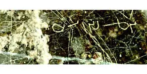 کشف کتیبه‌ای با محتوای «یکی از جشن‌های ساسانیان» در مرودشت