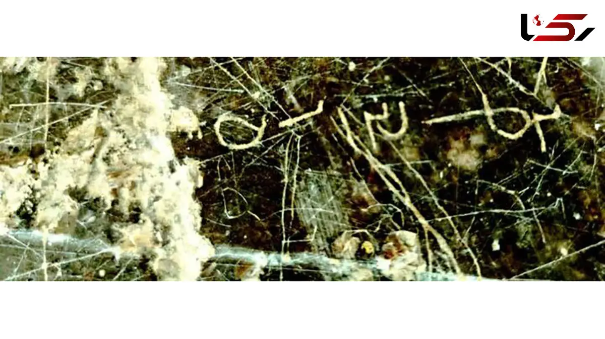 کشف کتیبه‌ای با محتوای «یکی از جشن‌های ساسانیان» در مرودشت