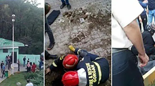 مقصران مرگ کودک سه ساله در پارک جنگلی ناهارخوران مشخص شدند