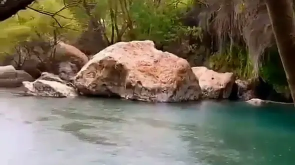 از باران استوایی تا تنگ براق و جنگل های زینواشت رشت