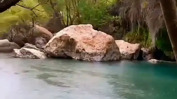 از باران استوایی تا تنگ براق و جنگل های زینواشت رشت