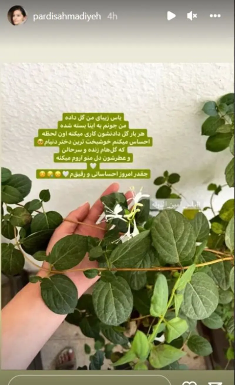 گل و گیاه