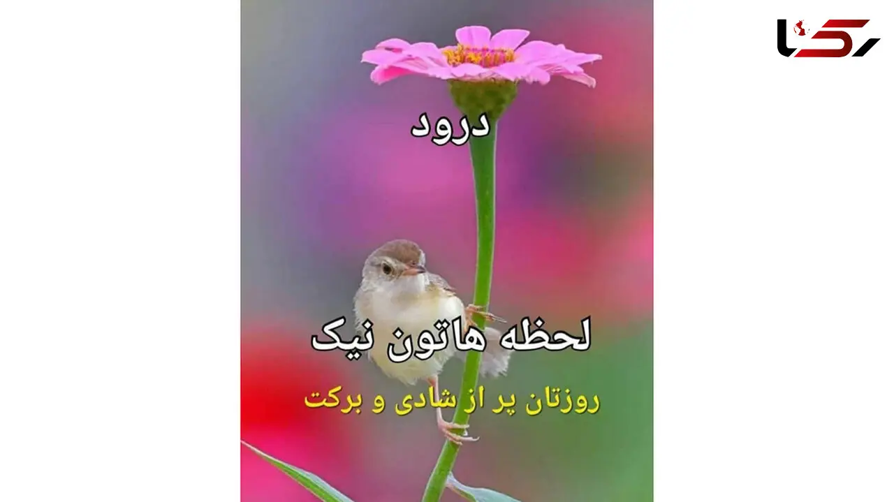 فال و طالع بینی روزانه 4 اردیبهشت + فیلم