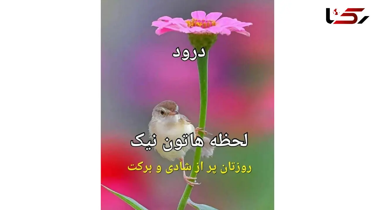 فال و طالع بینی روزانه 4 اردیبهشت + فیلم