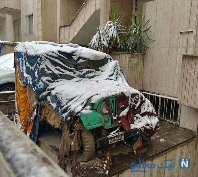 جشن تولد ترنم کرمانیان