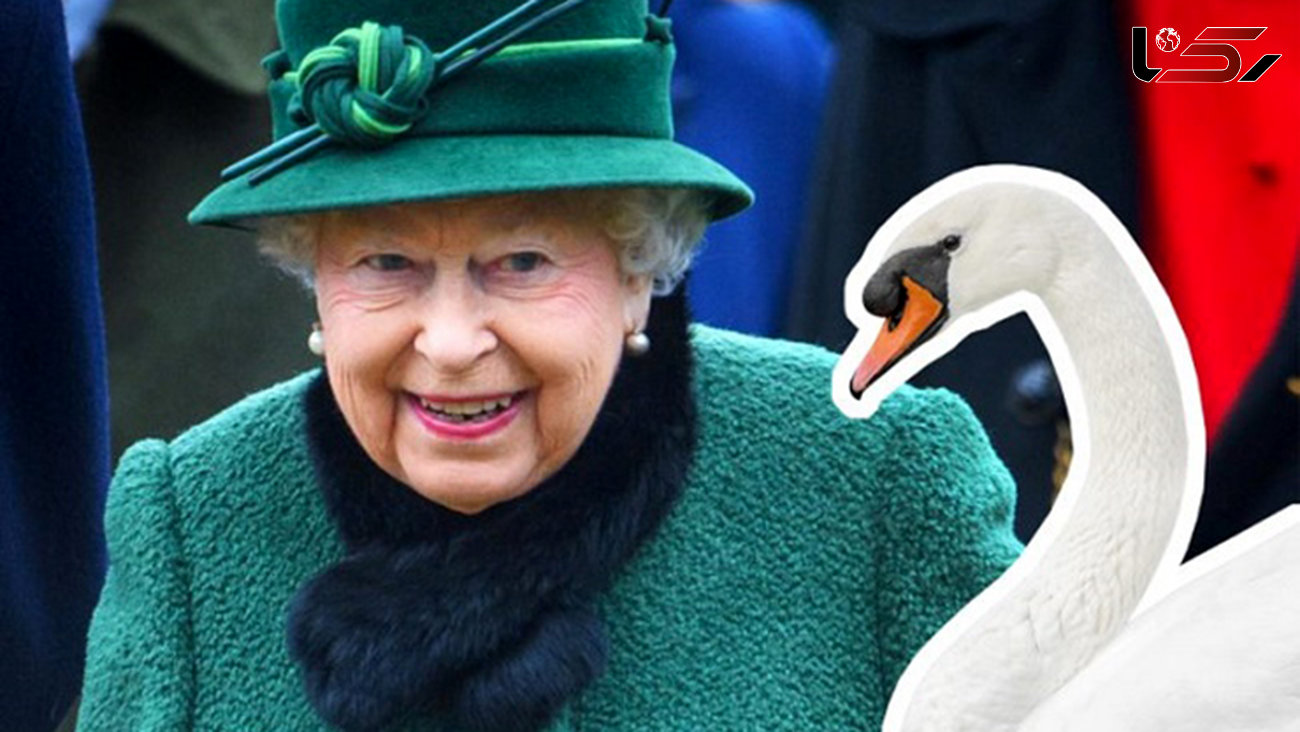 قوانین عجیبی که «ملکه انگلیس» از انجام آن‌ها مستثنی است! + تصاویر
