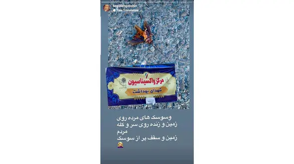 حمله سوسک ها به یک مرکز واکسیناسیون در تهران! + عکس