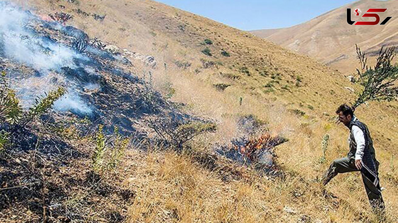 ادامه آتش سوزی در «بولی» ایلام بعد از گذشت سه روز