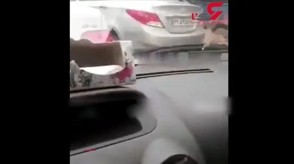 فیلم لحظه شوخی احمقانه مرد شیرازی با سیل / او هنگام مسخره کردن گرفتار شد !