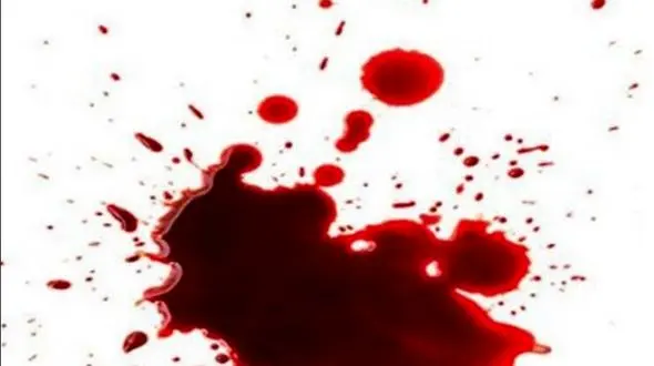 شلیک مستقیم جوان تهرانی به مرد همسایه در مولوی