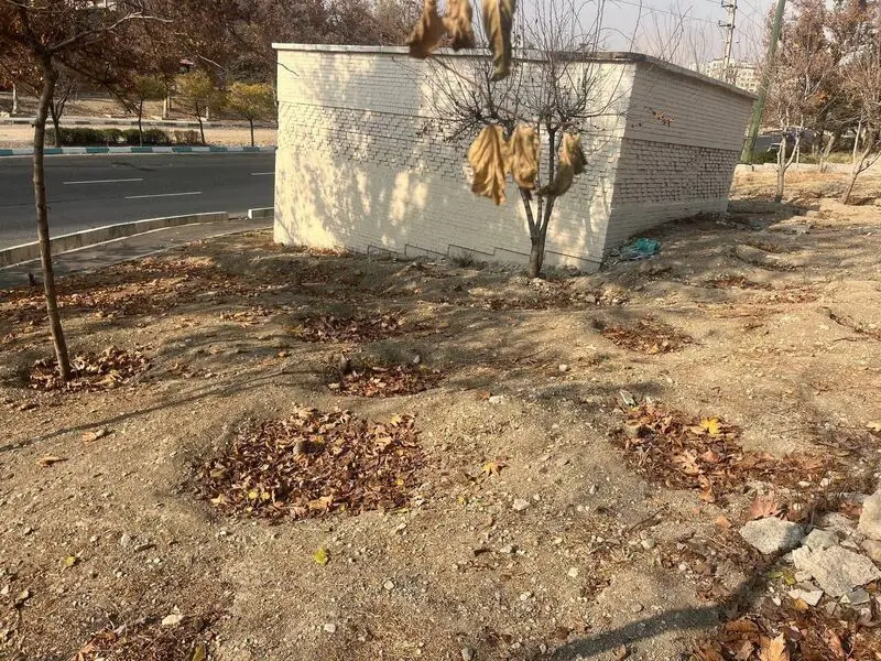 قطع درخت