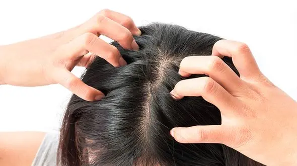 تقویت پیاز موی سر با ماساژ