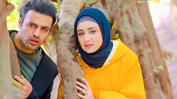 فیلم خواستگاری سامان صفاری، امیر سریال دلدادگان از ویدا جوان