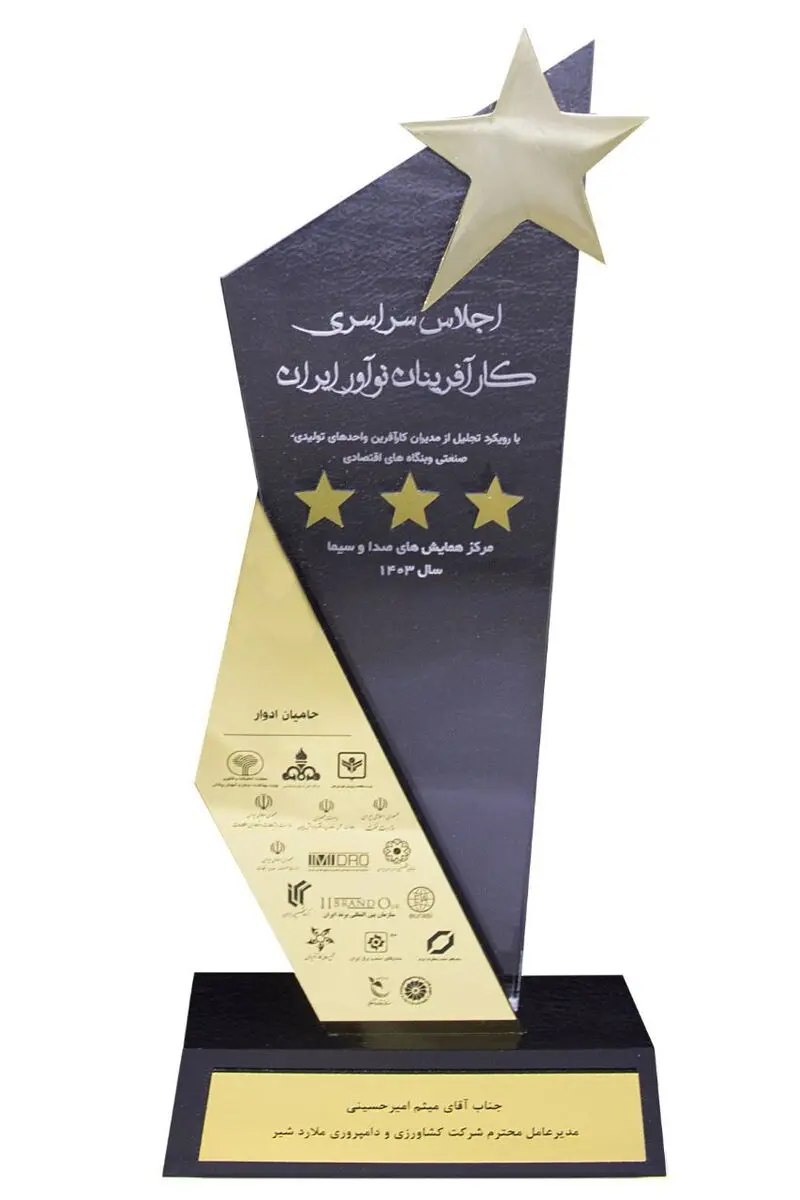 تندیس تجلیل از میثم امیرحسینی در اجلاس کارآفرینان و نوآوران ایران