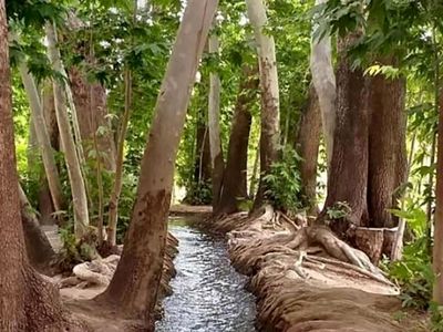باغ جهانی پهلوان پور کجاست؟ / عکس های دیدنی از این باغ ایرانی