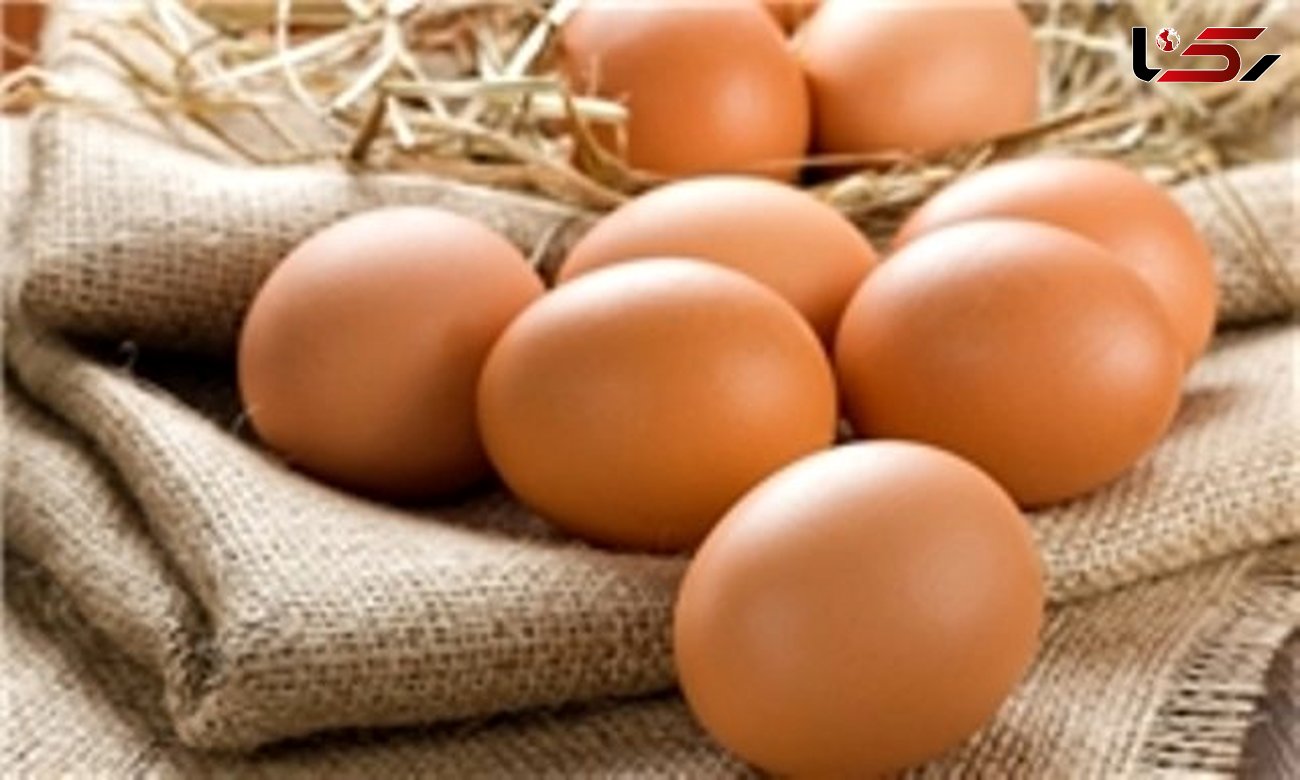  تخم مرغ گران ماند!