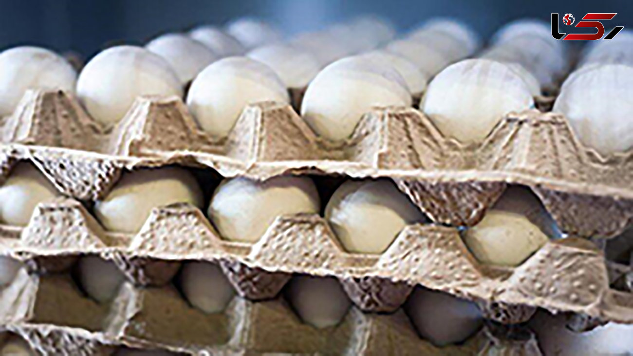 عوارض صادراتی تخم مرغ ٤٠٠ تومان در هر کیلوگرم تعیین شد