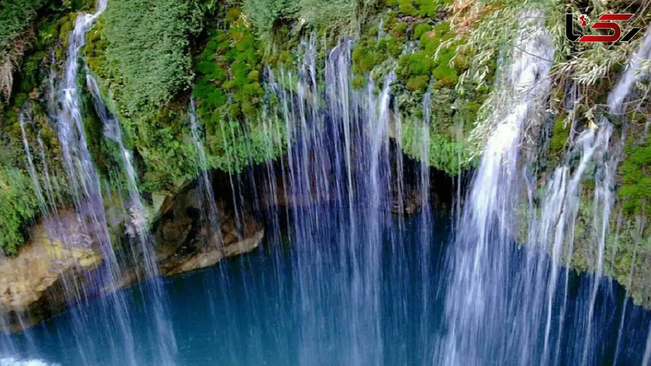 آبشار آب ملخ دشمن ملخ هاست+ فیلم
