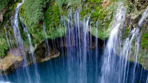 آبشار آب ملخ دشمن ملخ هاست+ فیلم