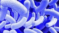 نجات جان انسان با مخزنی از میکروب ها