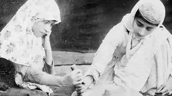 غذای محبوب ناصر الدین شاه قاجار / طرز تهیه فسنجان سیاه با آهن تافته و نعل اسب! /  مواد اولیه فسنجان در زمان صفویان چه بود؟