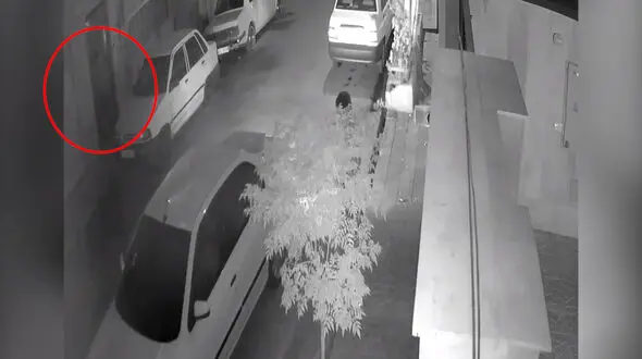 فیلم لحظه سرقت شبانه از خانه زن تهرانی در قصر فیروزه / پلیس هیچ ردی ندارد