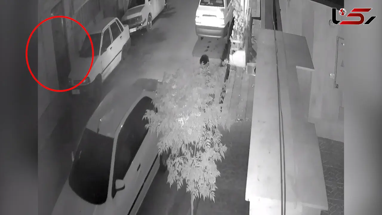 فیلم لحظه سرقت شبانه از خانه زن تهرانی در قصر فیروزه / پلیس هیچ ردی ندارد