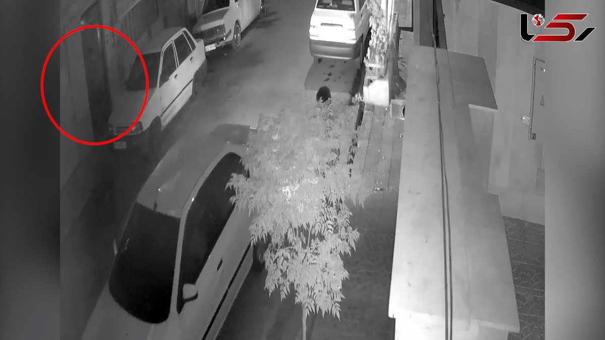 فیلم لحظه سرقت شبانه از خانه زن تهرانی در قصر فیروزه / پلیس هیچ ردی ندارد