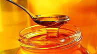 عسل اردبیل همچنان در اوج / تولید بیش از 7هزار تن در سالجاری