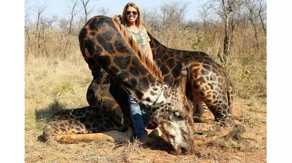 سلفی کثیف خانم شکارچی با جسد حیوان نادر+ عکس