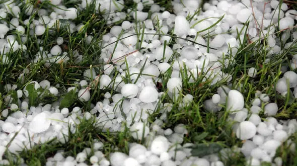 بارش تگرگ به زمین های کشاورزی خراسان شمالی خسارت زد