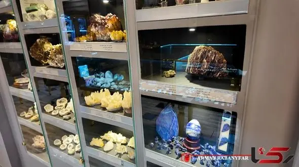 سفر به دنیای سنگ‌های شگفت انگیز در موزه آمیتیس / از مهره های مار تا سنگ نگین تاج پادشاهان و فسیل اجداد حلزون های 200 میلیون ساله! + فیلم