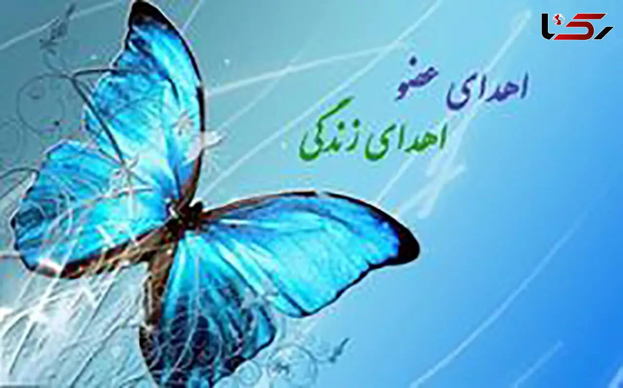 امیررضا حاجی زاده 3 زن را از مرگ نجات داد / این جوان 17 ساله  مرگ مغزی شد