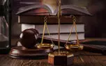 اجاره آدمکش برای قتل شوهر سابق / حس مادرانه انگیزه اصلی بود + عکس