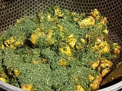 طرز تهیه خورشت شوید باقالی + فیلم